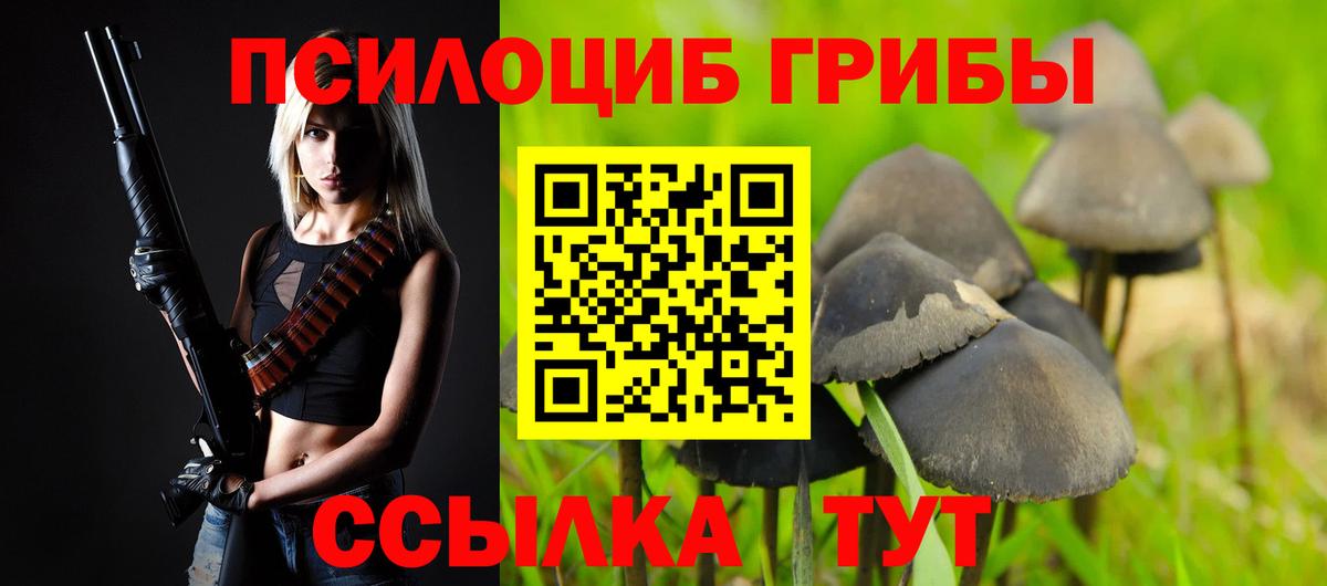 Королёв  Псилоцибиновые грибы Magic Shrooms  Вход с VPN 
